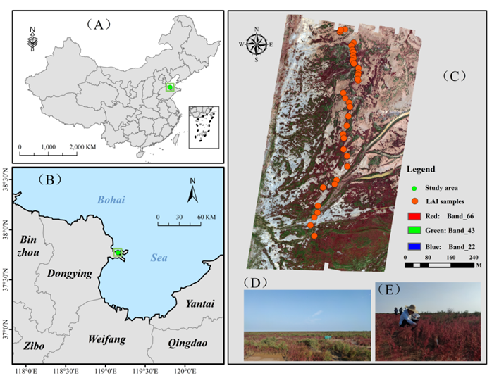 z202512291.png z202512291.png