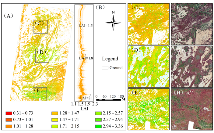 z202512295.png z202512295.png